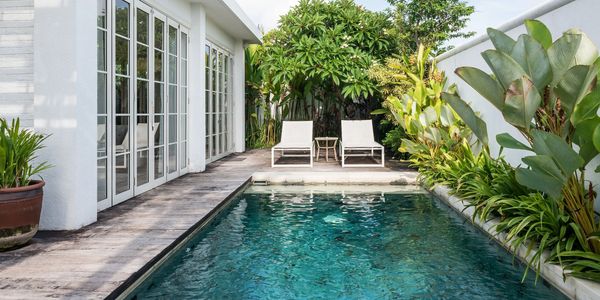 Modern backyard with swimming pool, lounge chairs, and lush greenery.
