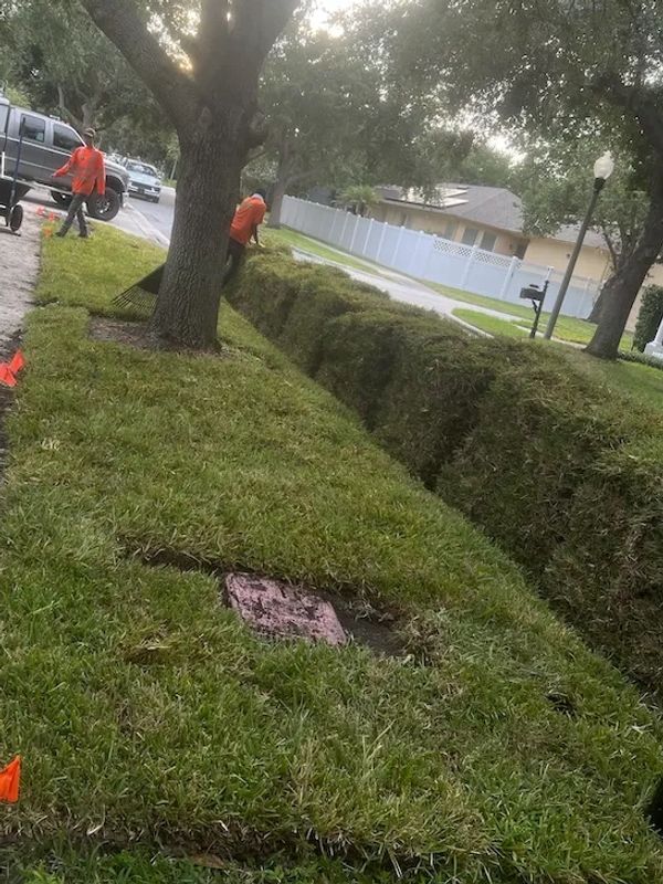 Workers laying fresh sod on a lawn.