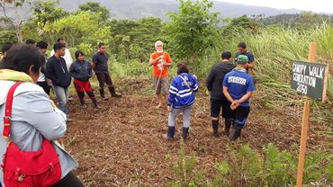 Canopy walk with Fr Pedro