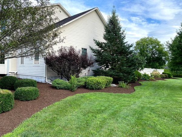 Landscaping with mulch and shrubs.