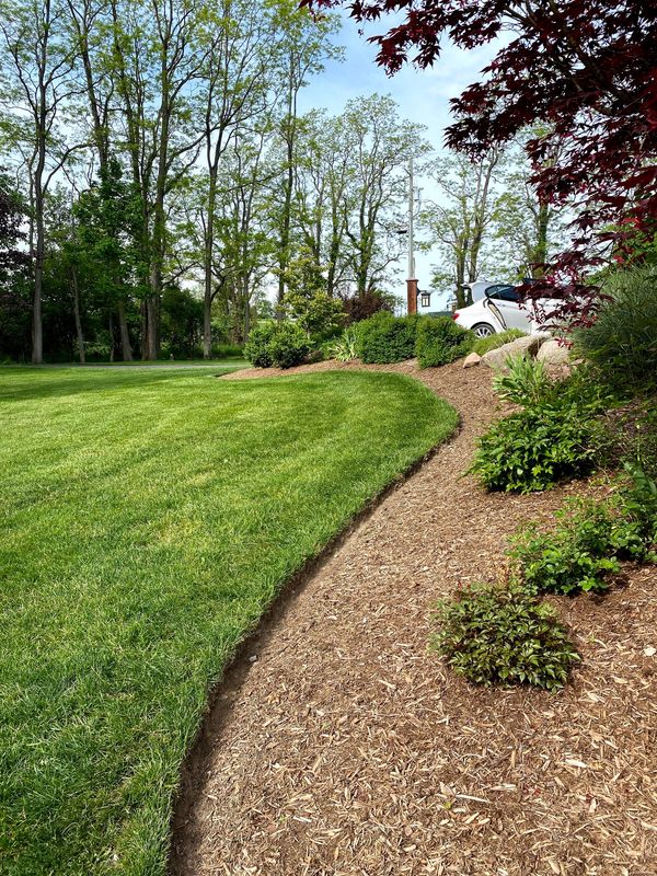 Mulched well manicured landscape