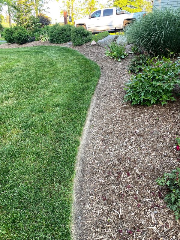 Well manicured landscaping in Skaneateles, NY, with a very crisp edging, natural mulch, and astilbe