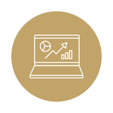 Customized plan to optimize processes and financial reports for business owners.