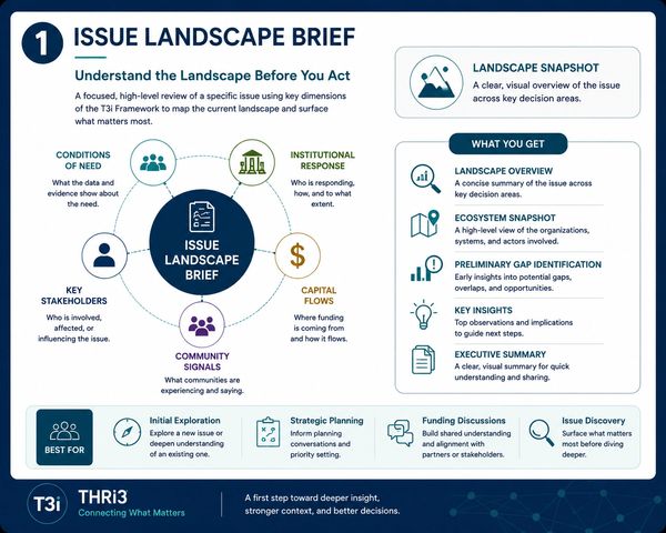 Infographic on Issue Landscape Brief for understanding issues using T3i Framework.