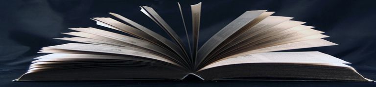 An open book lying on a flat surface with fanned pages viewed from the bottom