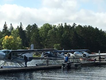 Seaplanes docked at Scott's dock during peak seaplane season.