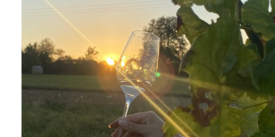 Auszeit für dich. Abschalten vom Alltag, runterkommen, sich bewegen, geniessen, entspannen,Yoga