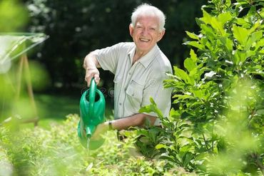 Elderly man happily watering plants in a garden with a green watering can.