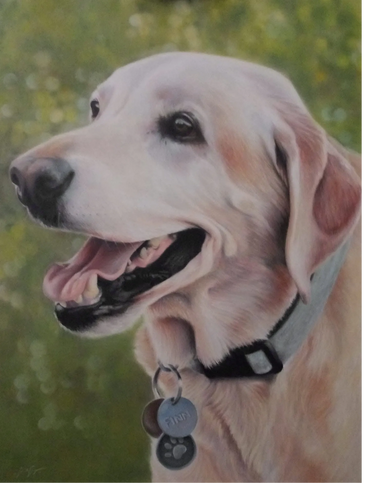 dog portrait pastel