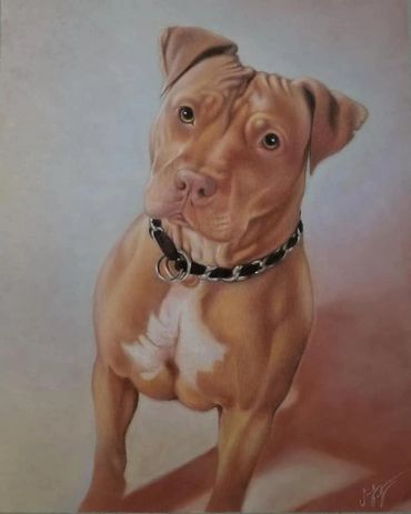 dog portrait pastel