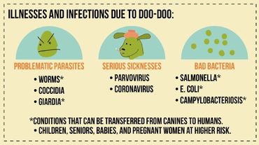 illnesses associated with dog poop in yard