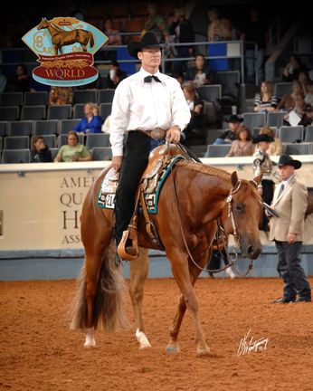 AQHA Western Pleasure and Western Riding Horses for Sale