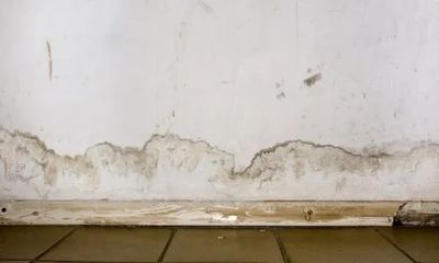 muur met schade van opstijgend vocht