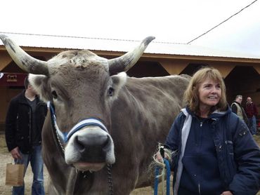 A girl and her oxen in a pastoral landscape