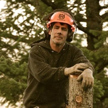 Dynamic Tree Services - Certified Climbers, Tree Surgeons