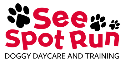 See Spot Run Doggie Daycare & Training Inc.