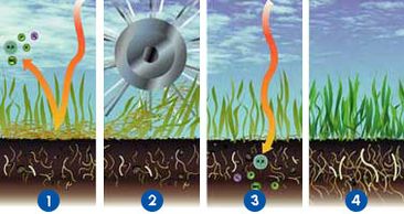 De-Thatching is a service we provide in the spring time to reduce the thatch layer in your lawn. By