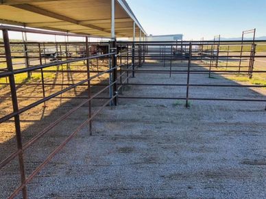 Clean stalls at the livery