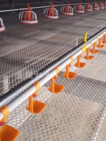 Feeding line & Drinking line