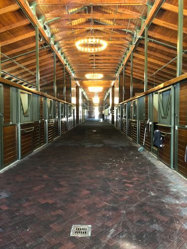 Interior view of a clean, wooden horse stable with rows of stalls.