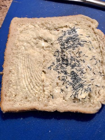 Copper Oxide Wire Particle Boluses on a slice of bread