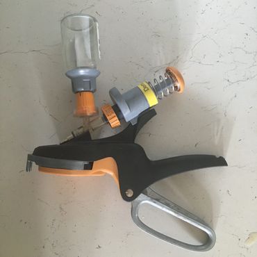 Numnuts banding equipment for male goat kids for pain free castration by banding