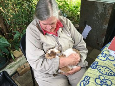 Dr Sandra Baxendell nursing a Nigerian Dwarf kid