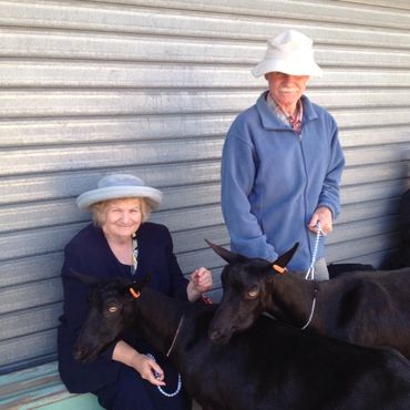 Dr Sandra Baxendell sitting and her husband standing with Melann dairy goats