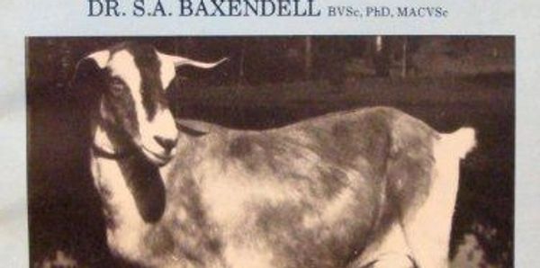 Veterinary text book written by Dr Sandra Baxendell