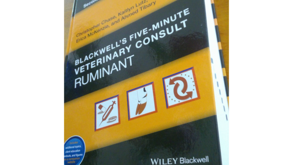 5 Minute Ruminant consults text