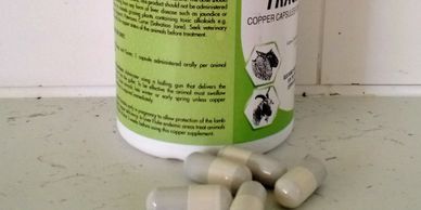 Copper oxide wire particle bolus for treating barbers pole or Haemonchus worms