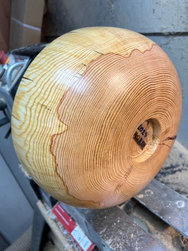 new hampshire white pine (gifted)