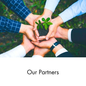Four pairs of hands coming together to support a plant sprouting in dark soil.