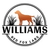 Williams Red Fox Labs