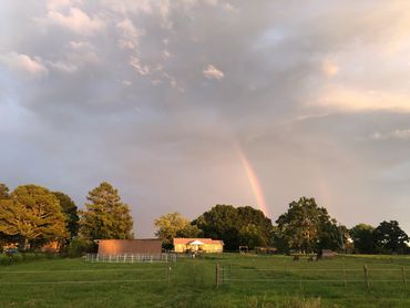 950 Humbard Rd SE in Cleveland, TN