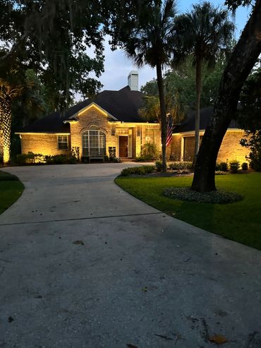 landscape lighting/uplighting