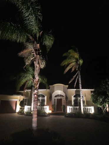 outdoor landscape lighting/uplighting