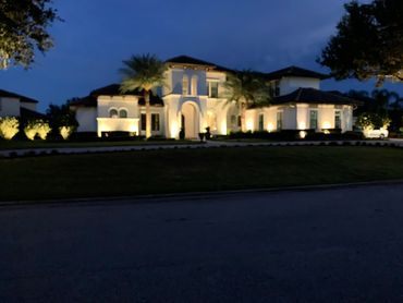 outdoor lighting/uplighting/landscape lighting