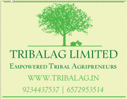 TribalAg Limited