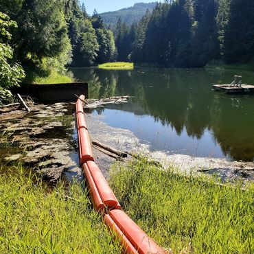 Carlton, OR fresh water reservoir clean out 2022