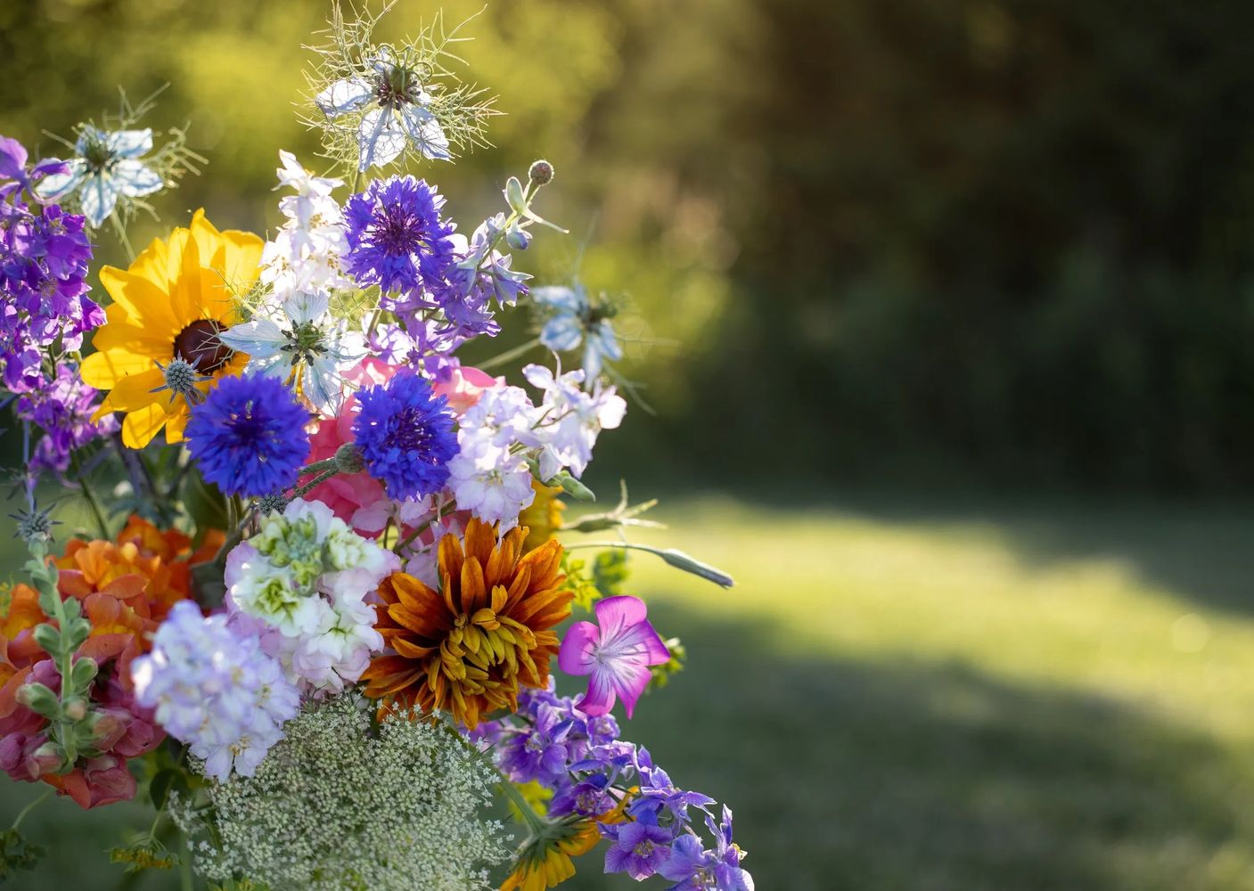 colorful spring flower bouquet featuring rudbeckia, stock, bachelor buttons, larkspur & nigella