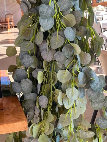 Silver Dollar Faux Eucalyptus 8’