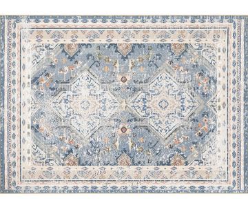 Blue rug