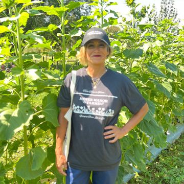 Woman standing in sunflower field
