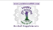 Yoshi Tree of Life