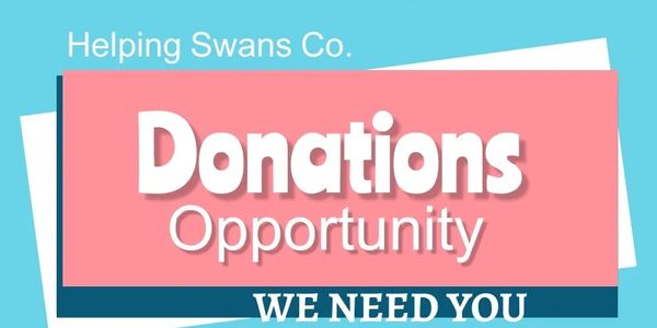 To offer our services and make a positive impact, we rely on your generous donations.