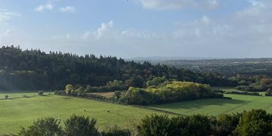View across to the Chantries