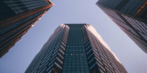 Prolign mission: project managers find roles they thrive in