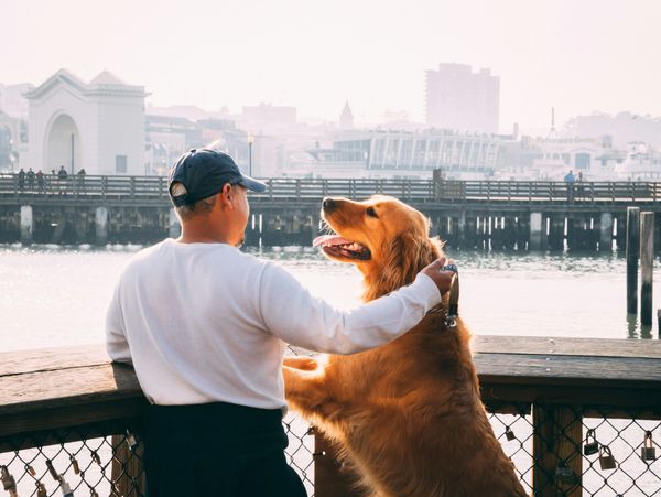 A man and his golden retriever share a moment by the water at a pier.