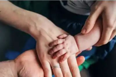 Manos de padres con las de un niño